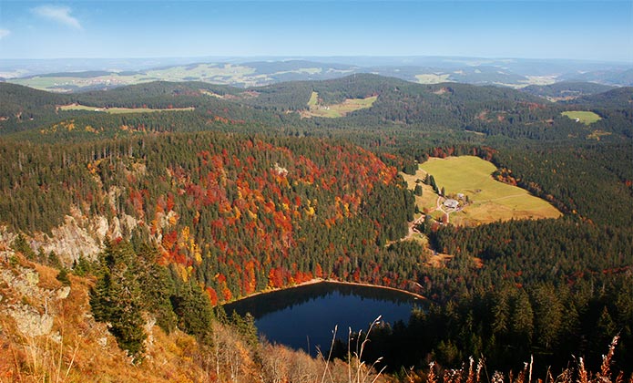 Blick vom Feldberg auf den Feldsee