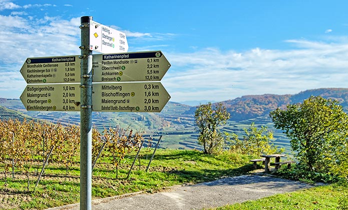 Ausflug in den Kaiserstuhl